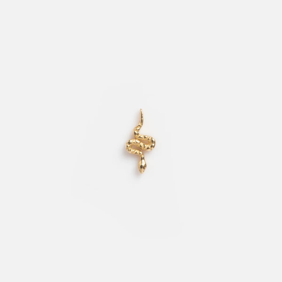 Snake floating charm for a Remember locket by Coeur Ailleurs.